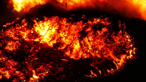 Burning trees in a farm Stockbeeldmateriaal 162590251