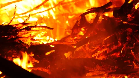 Burning trees in fire flame 库存影片 162590496