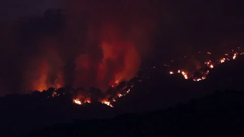 Burning trees, forest fires in Spain destroying and causing air pollution Stock Footage 133203497
