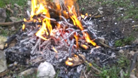 Burning twigs and branches. blurred image. forest fires in the dry season Stock Footage 311316390