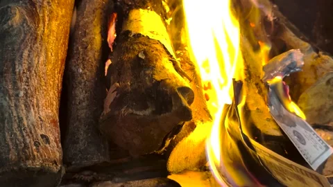 Burning US Dollar Banknotes in Fireplace - Financial Crisis and Inflation Concep Vídeos de archivo 333263217