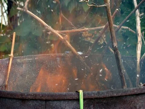 Burning of vegetative waste Stock-Fotos