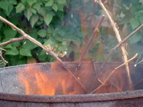 Burning of vegetative waste Foto stock