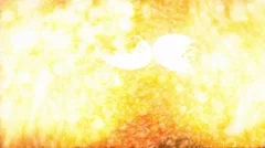 Burning Video Project.zip Stock After Effects