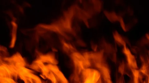Burning wall of fire on a black background. Flames texture on a black background Stock-Footage 113085748