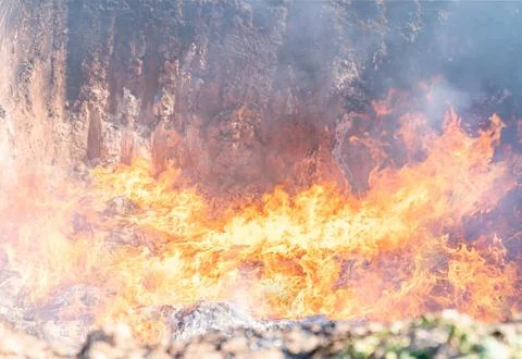 Burning waste in fire pit. Stock Photos