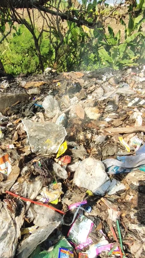 Burning of Waste Stock Footage 278846005