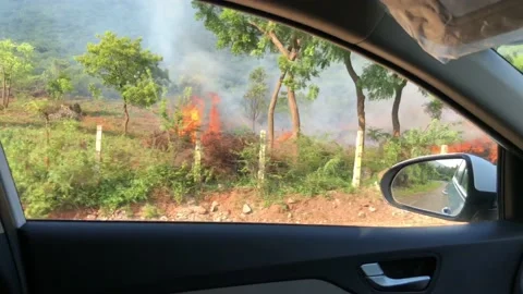 Burning the waste in lands view from a car Stock Footage 141490953
