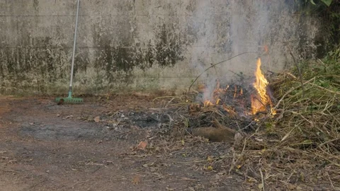 Burning weed grass, twigs, and junk from the house yard. Video stock 156509187