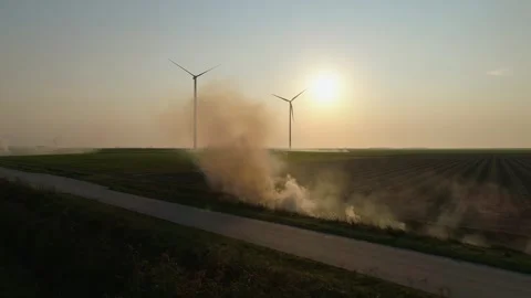 Burning of weeds Stock Footage 295322455