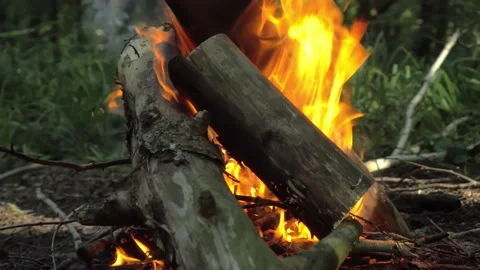 Burning whole logs in the fire, flames. Hiking. Tourism. Travel. Lifestyle Stock Footage 156037002