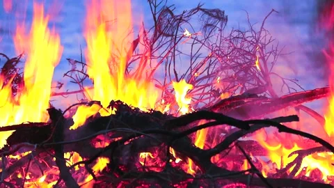 Burning wood and garbage creates pollution to the environment more than land Stock Footage 135705916