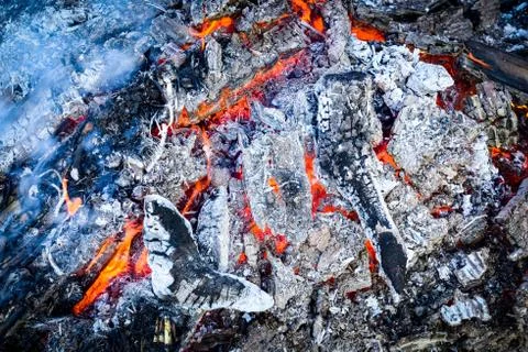 Burning wood on a Bonfire. Stock Photos