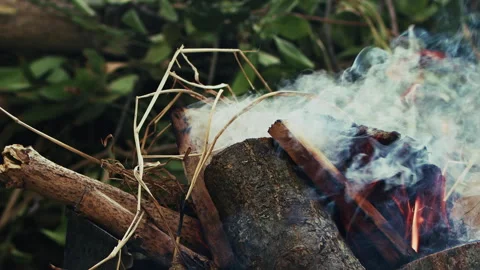 Burning Wood Branches Fire and Smoke in Nature Stock Footage 292243947