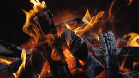 Burning wood in a brazier Stock Footage 71212642