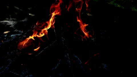 Burning wood campfire in a dark Stock Footage 77351652