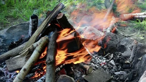 Burning wood campfire. Fire Flames Stock Footage 76950727