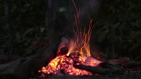 BURNING WOOD AT CAMPFIRE-(HD) Stockbeeldmateriaal 145355903