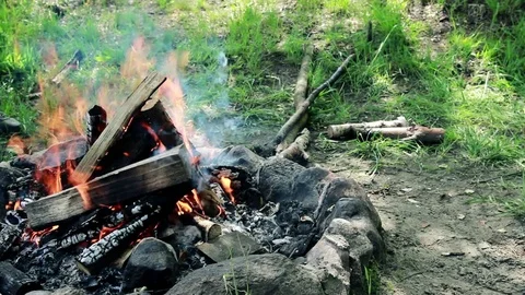 Burning Wood in A Camping Fire Stock Footage 76950391