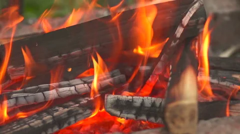 Burning wood closeup Stock Footage 55477147