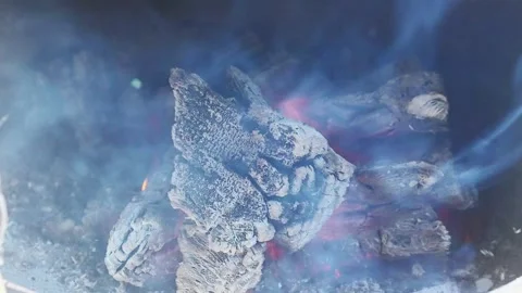 Burning wood covered in ashes Stock Footage 250098644