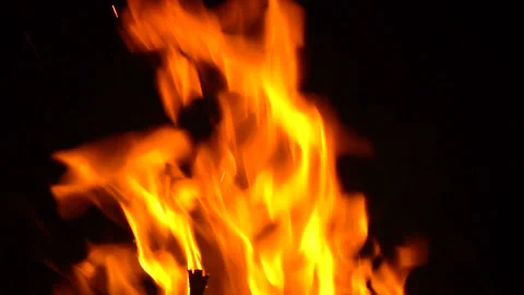 Burning wood fire in fireplace Stock Footage 148130180