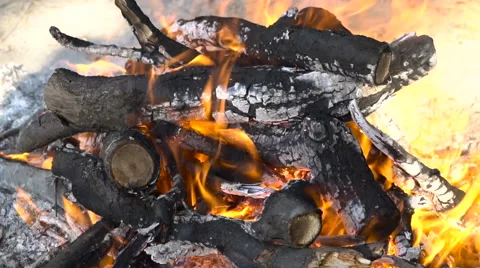 Burning wood in the fire Stock Footage 67689508