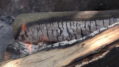 Burning Wood In Fire. Stock Footage 80518294