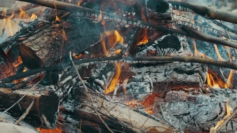 Burning wood in the fire Stock Footage 131210831