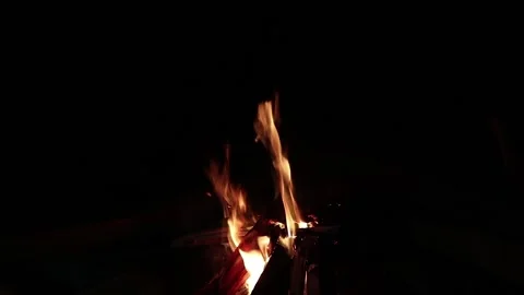 Burning wood with fire. Stock Footage 166680800