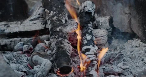Burning wood in the fire Stock Footage 186719846