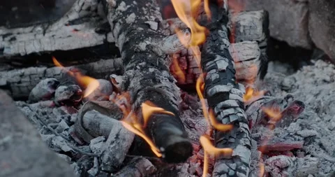 Burning wood in the fire Stock Footage 186719997