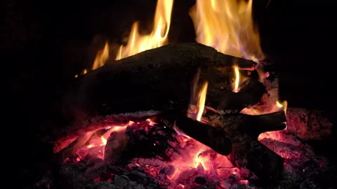 Burning Wood Fire Stock Footage 263611892