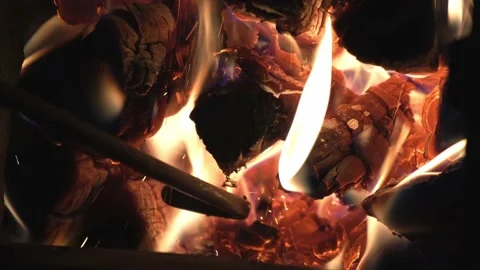 Burning wood in the fireplace close-up. Stock Footage 169943511