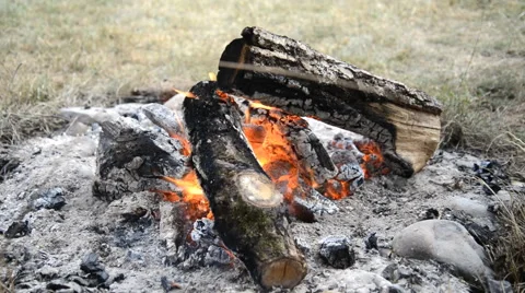 Burning wood in fireplace Stock Footage 40960632
