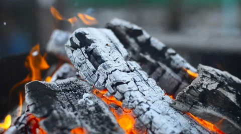 Burning Wood In The Fireplace Stock Footage 60817760