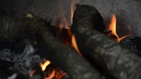 Burning wood in the fireplace Stock Footage 73990606