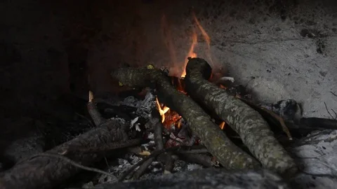 Burning wood in the fireplace Stock Footage 73990616