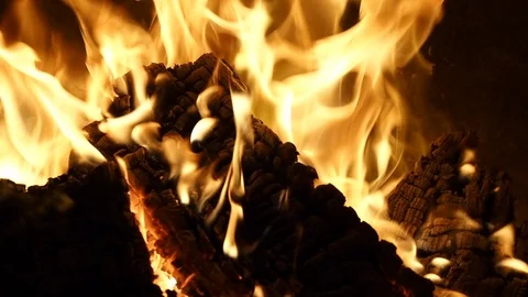 Burning wood in the fireplace Stock Footage 110921965