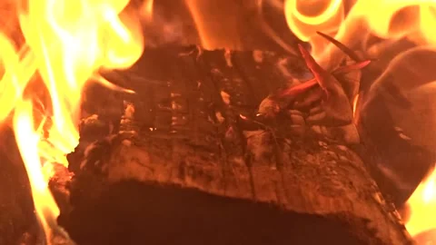 	Burning wood in the fireplace Stock Footage 264748742