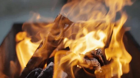 Burning wood in flames Vídeo Stock 71213108