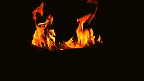 Burning wood. Flames Stock Footage 78311355