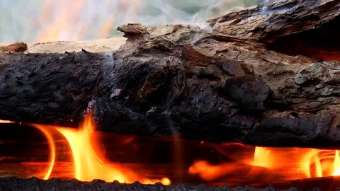 Burning wood. Flames Stock Footage 78311563