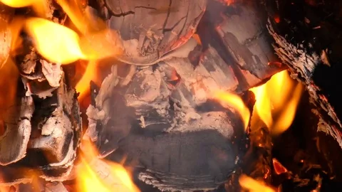 Burning wood. Flames Stock Footage 78311678