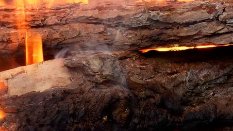 Burning wood. Flames Stock Footage 78422479