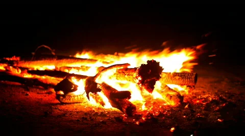 Burning Wood Stock Footage 474355