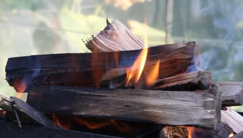 Burning wood Video stock 8563227