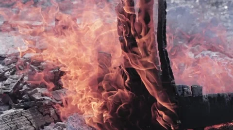 Burning wood Stock Footage 41212235
