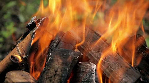 Burning wood Stock Footage 50394468