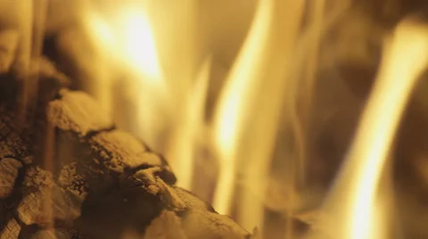 Burning wood. Stock Footage 51614283